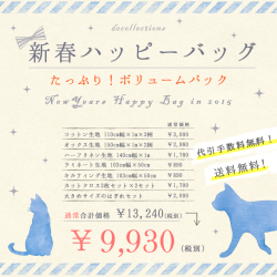 2015.1ボリュームパック福袋